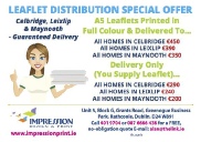 LEAFLET DISTRIBUTION low res.pdf